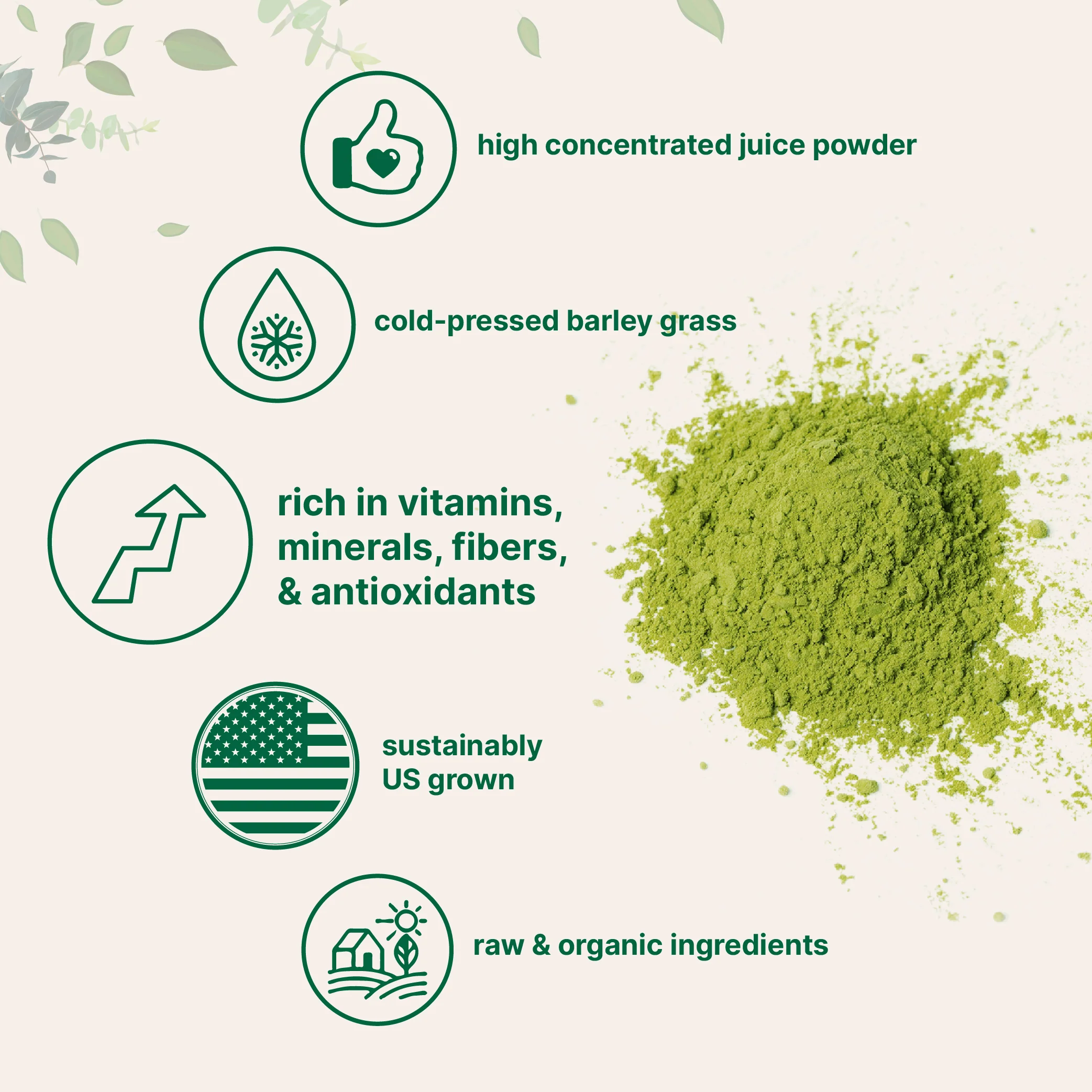 Micro Ingredients Organic Barley Grass Juice Powder, 10 Ounce - Image 3