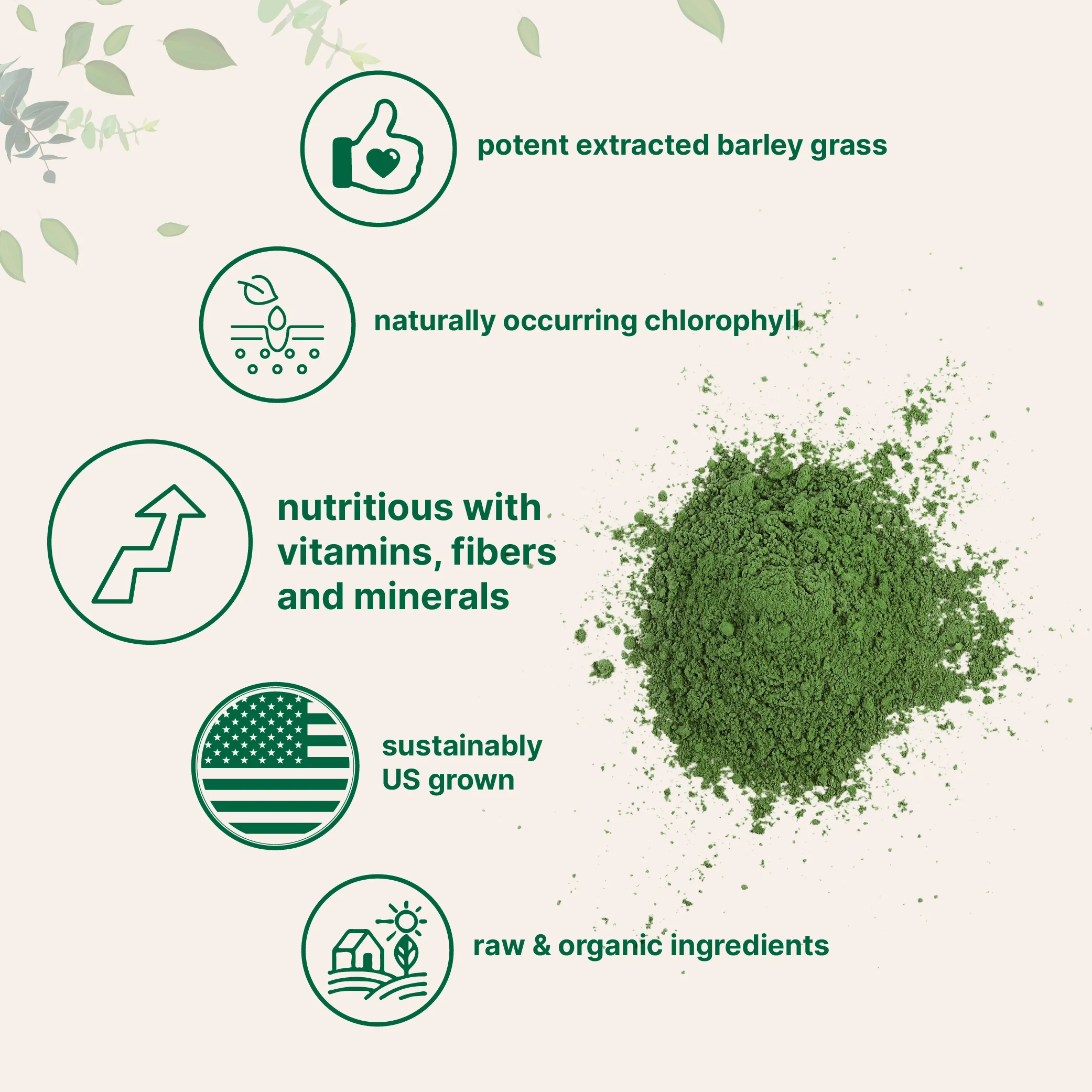 Micro Ingredients Organic Barley Grass Powder, 16oz - Image 4