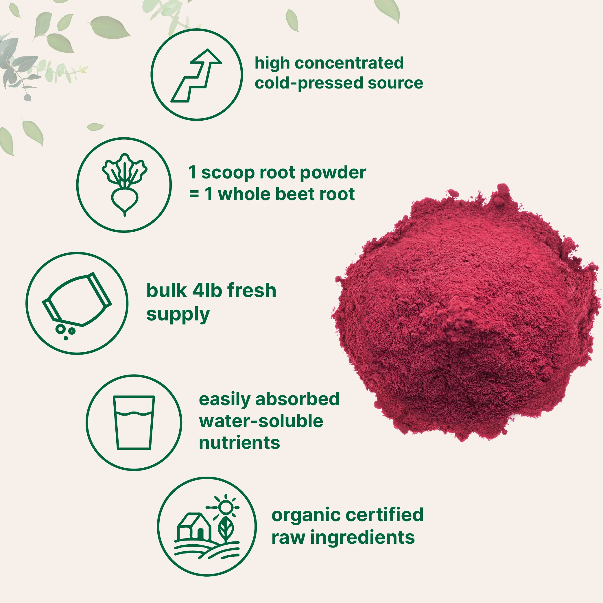 Micro Ingredients Organic Beet Root Powder-4lb - Image 4