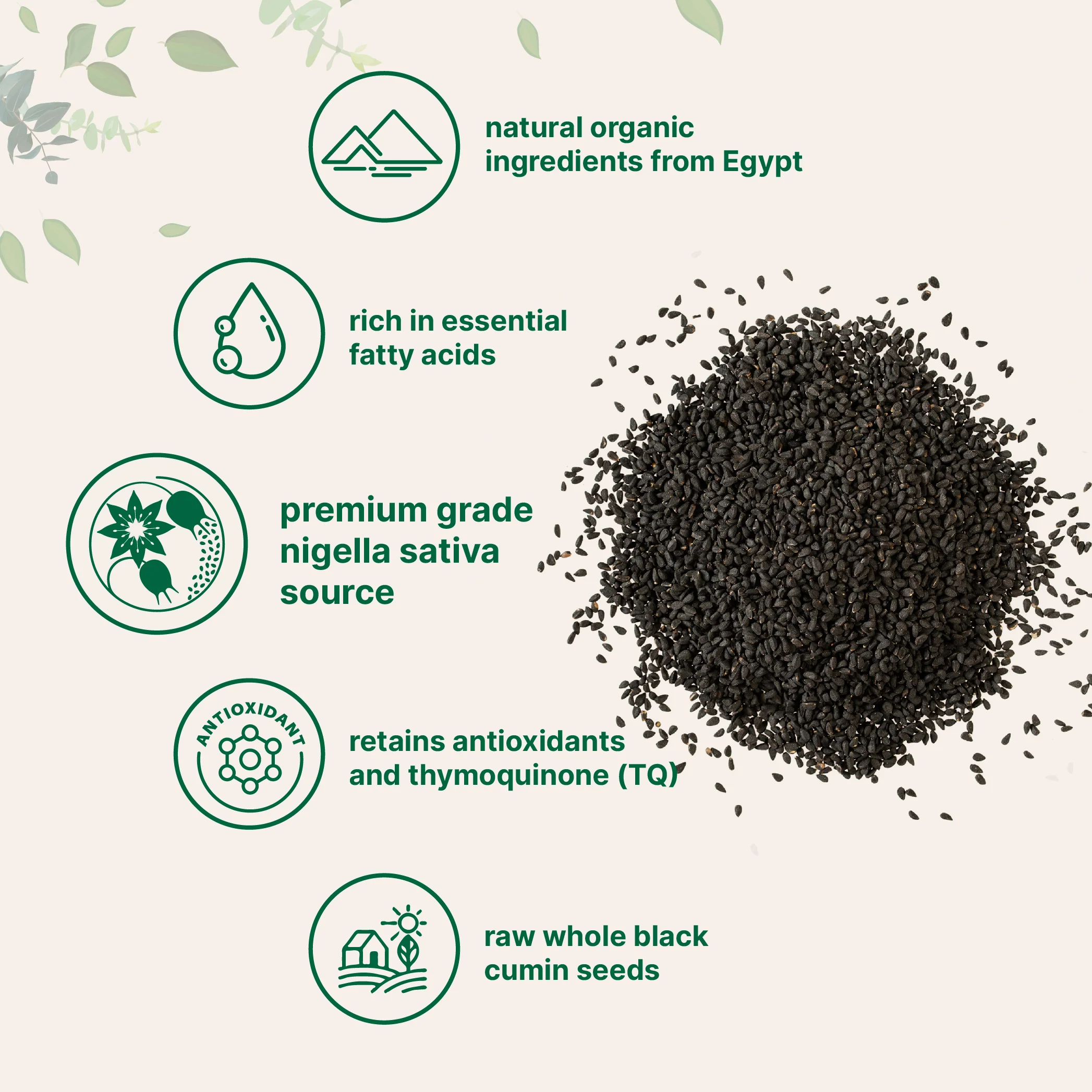 Micro Ingredients Organic Black Cumin Seed (Nigella Sativa) - Image 3