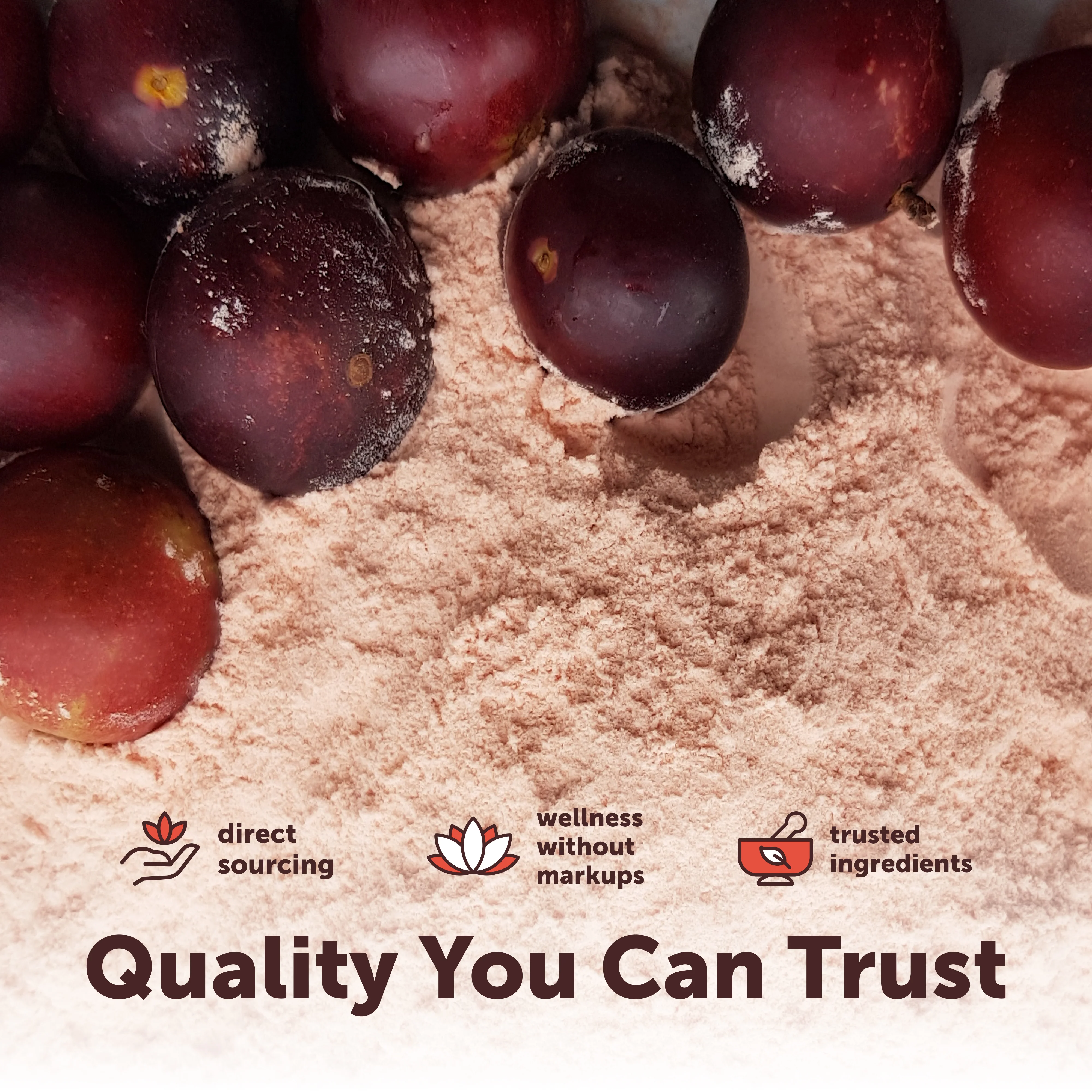 Micro Ingredients Organic Camu Camu Powder 12 Ounce - Image 7