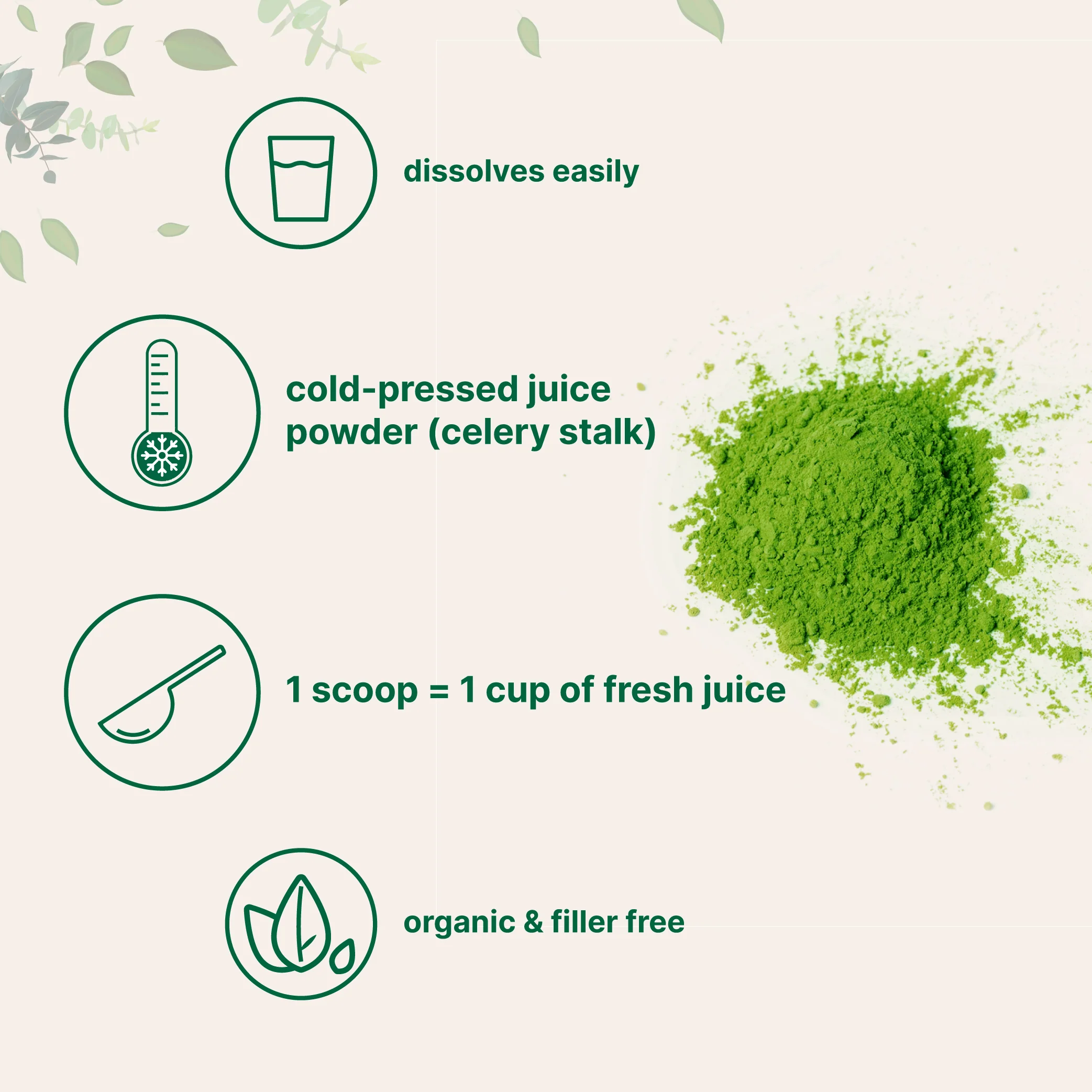 Micro Ingredients Organic Celery juice Powder - Image 4