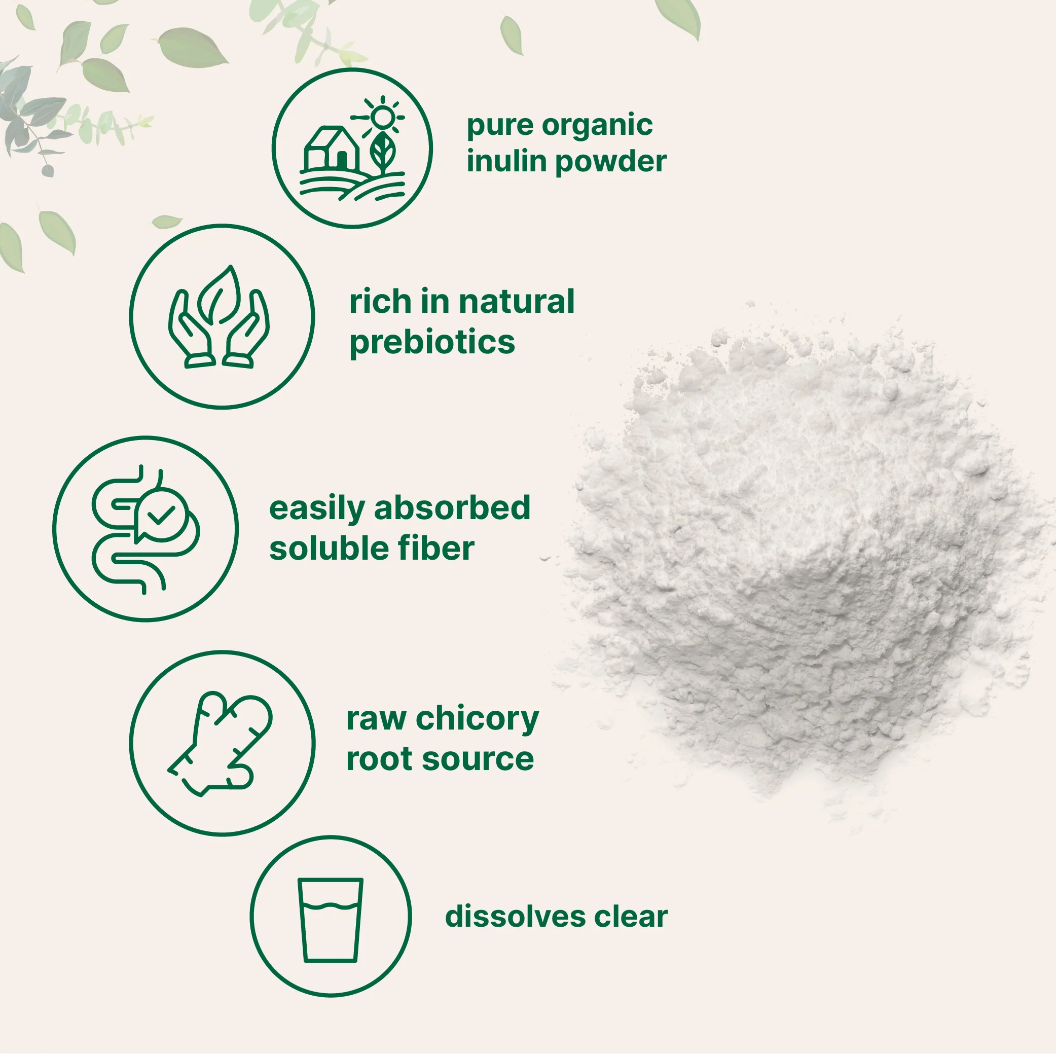 Micro Ingredients Organic Chicory Inulin Powder, 2lb - Image 4