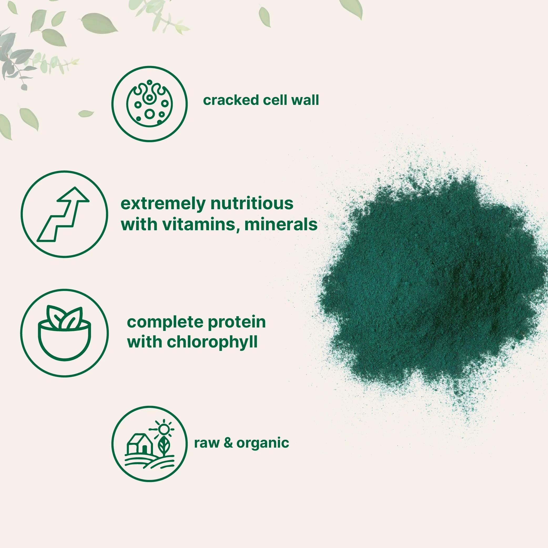 Micro Ingredients Organic Chlorella Powder - Image 6