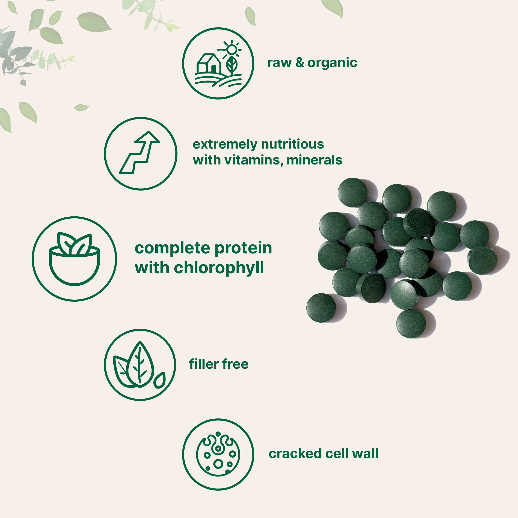 Micro Ingredients Organic Chlorella Tablets, 720 tablets - Image 4