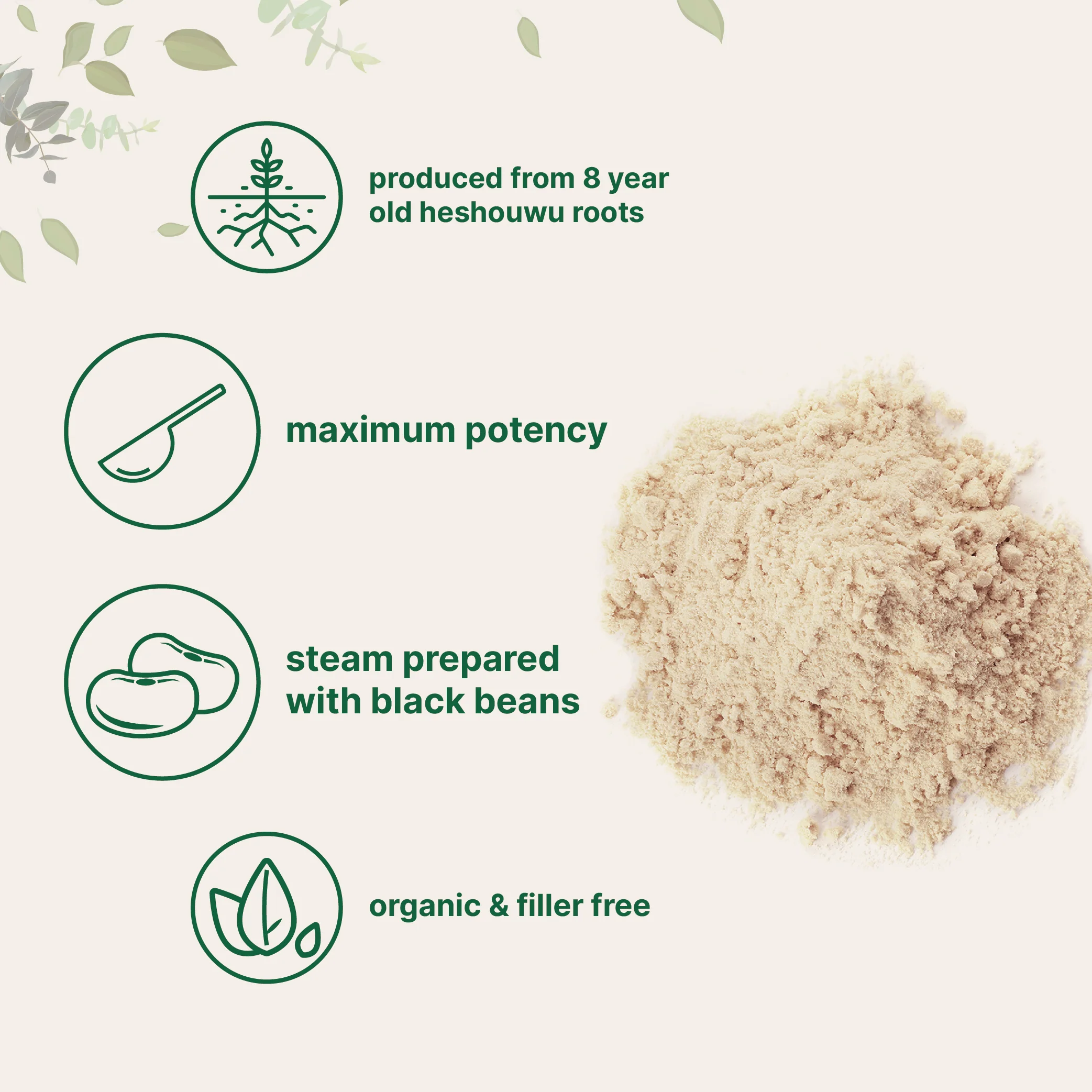Micro Ingredients Organic Fo-Ti Powder, 6oz - Image 3
