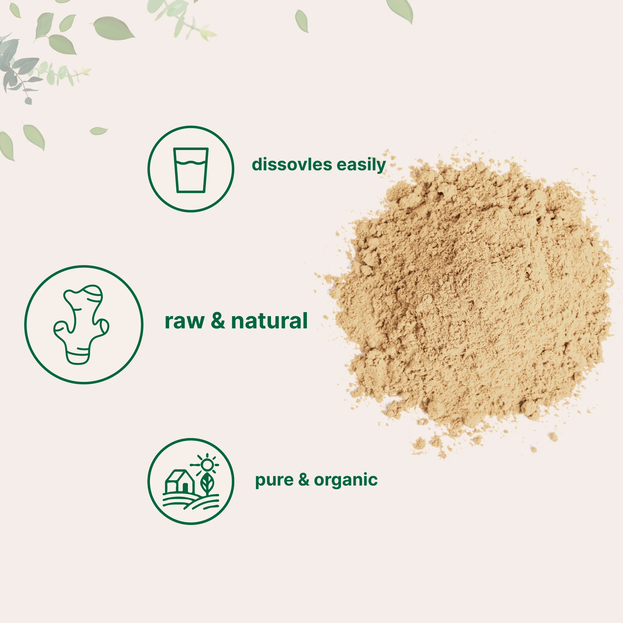 Micro Ingredients Organic Ginger Powder - Image 3