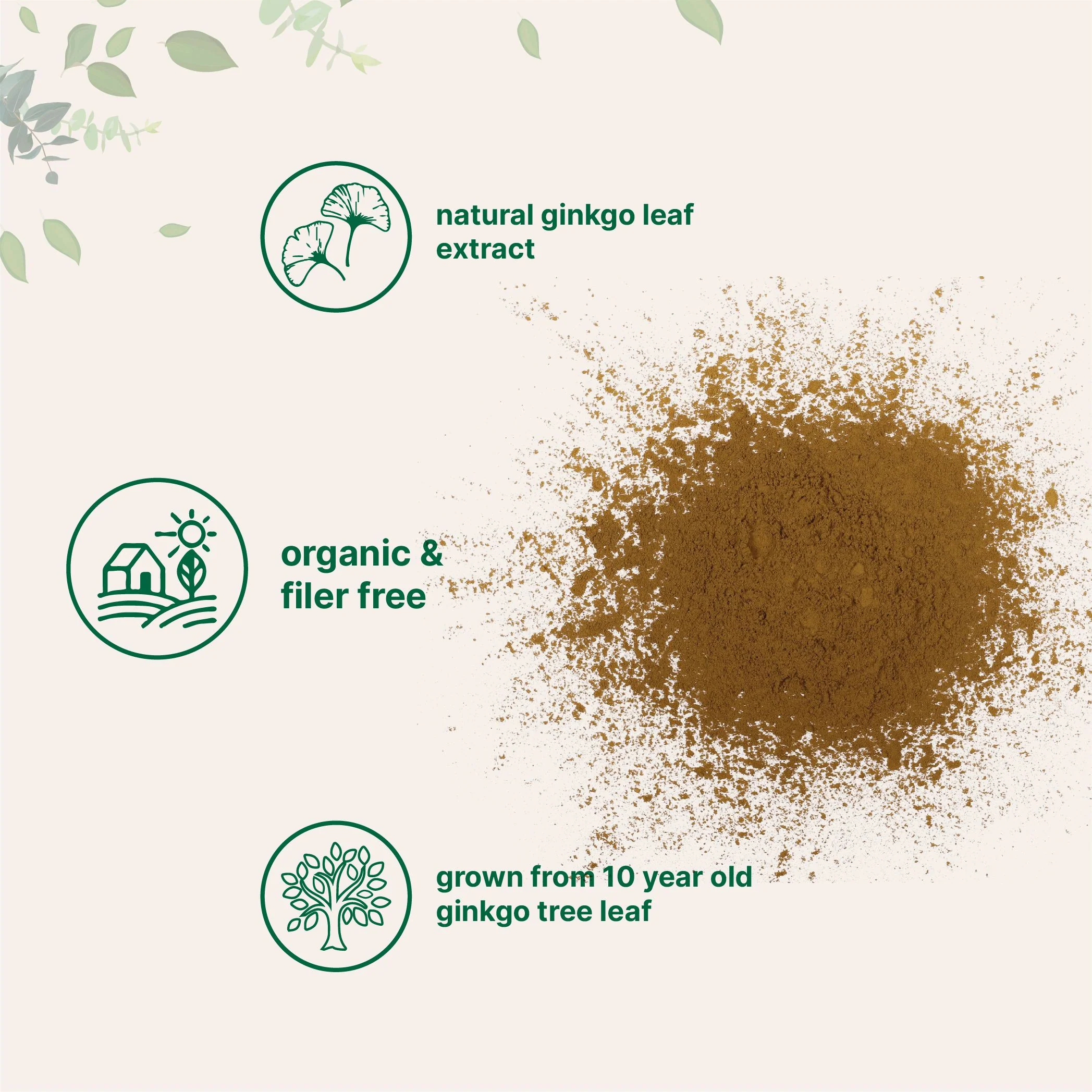 Micro Ingredients Organic Ginkgo Biloba Powder - Image 3