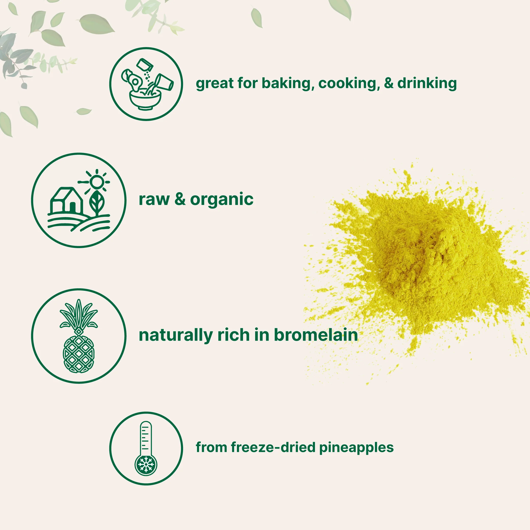 Micro Ingredients Organic Pineapple Powder-Rich in Vitamins - Image 3