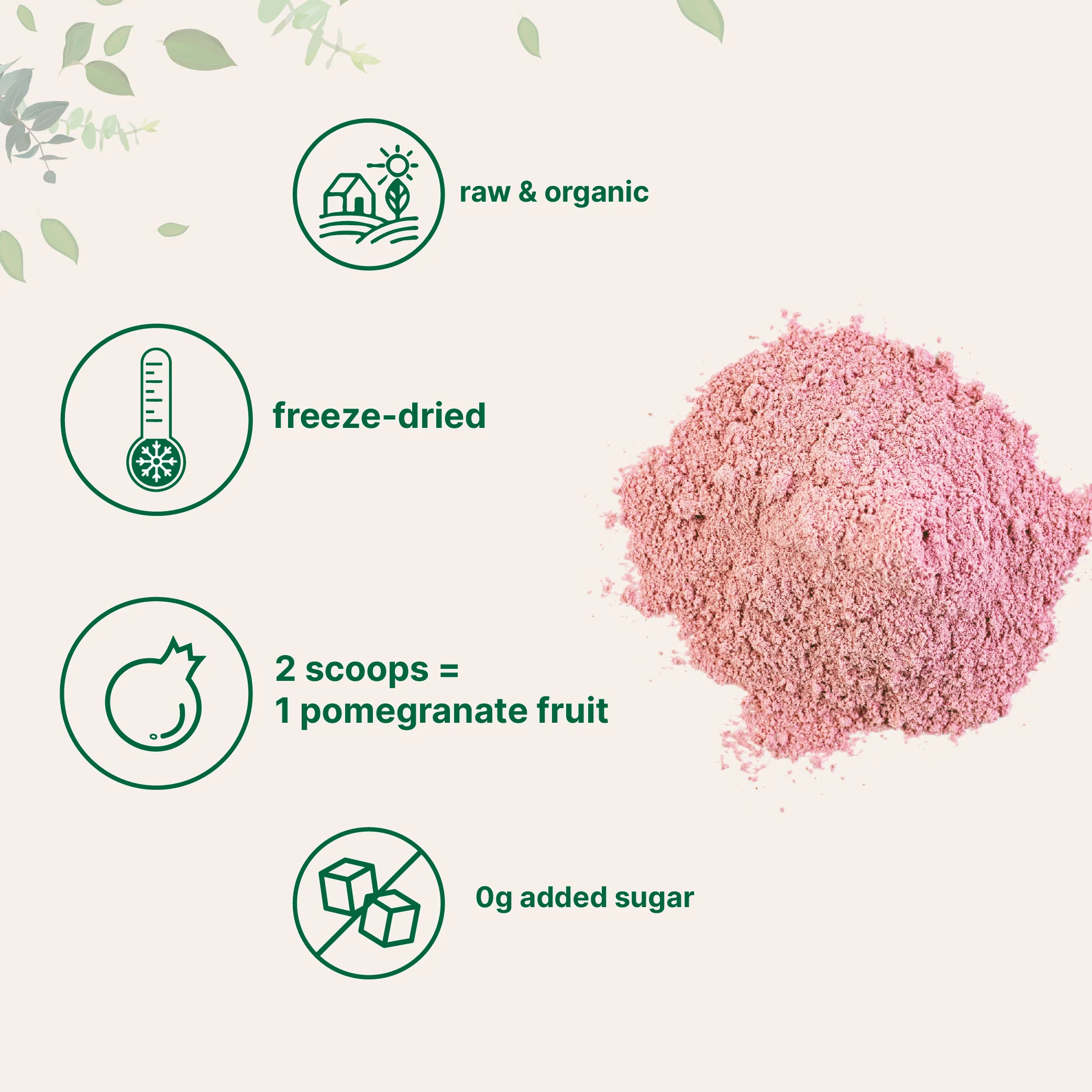 Micro Ingredients Organic Pomegranate Juice Powder - Image 3