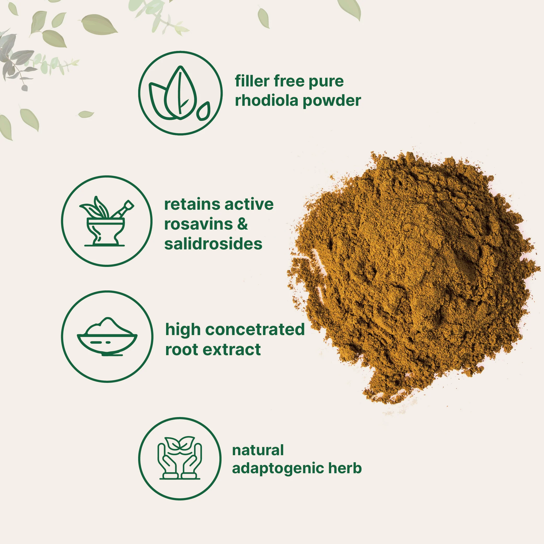 Micro Ingredients Rhodiola Rosea Powder, 50g - Image 3