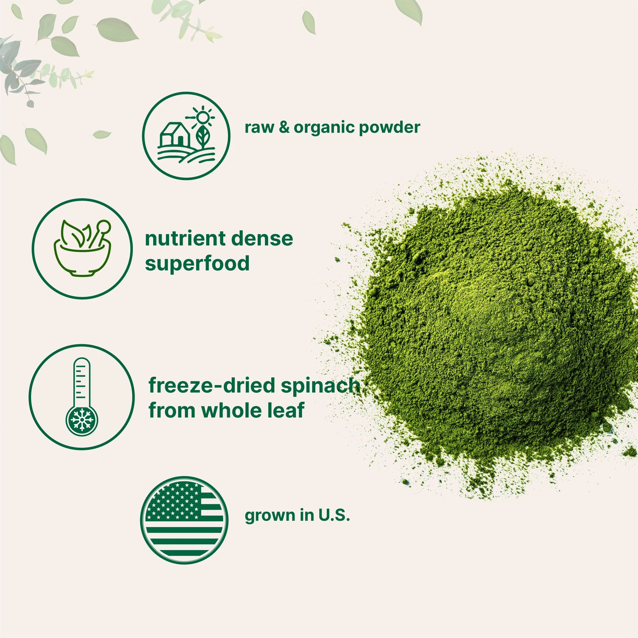 Micro Ingredients Organic Spinach Powder, 1lb - Image 3