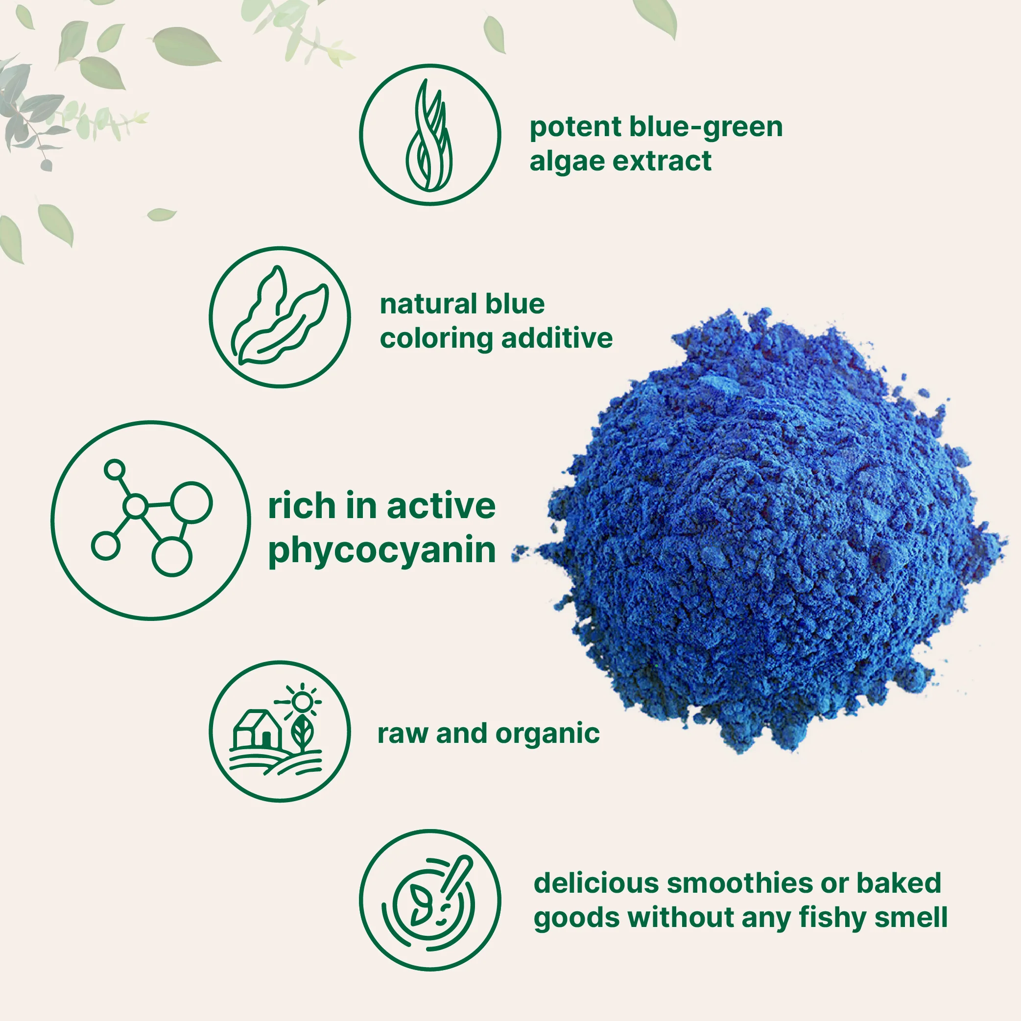 Micro Ingredients Organic Blue Spirulina Powder (Phycocyanin Extract) - No Fishy Smell, 100% Vegan Protein from Blue-Green Algae - Image 5