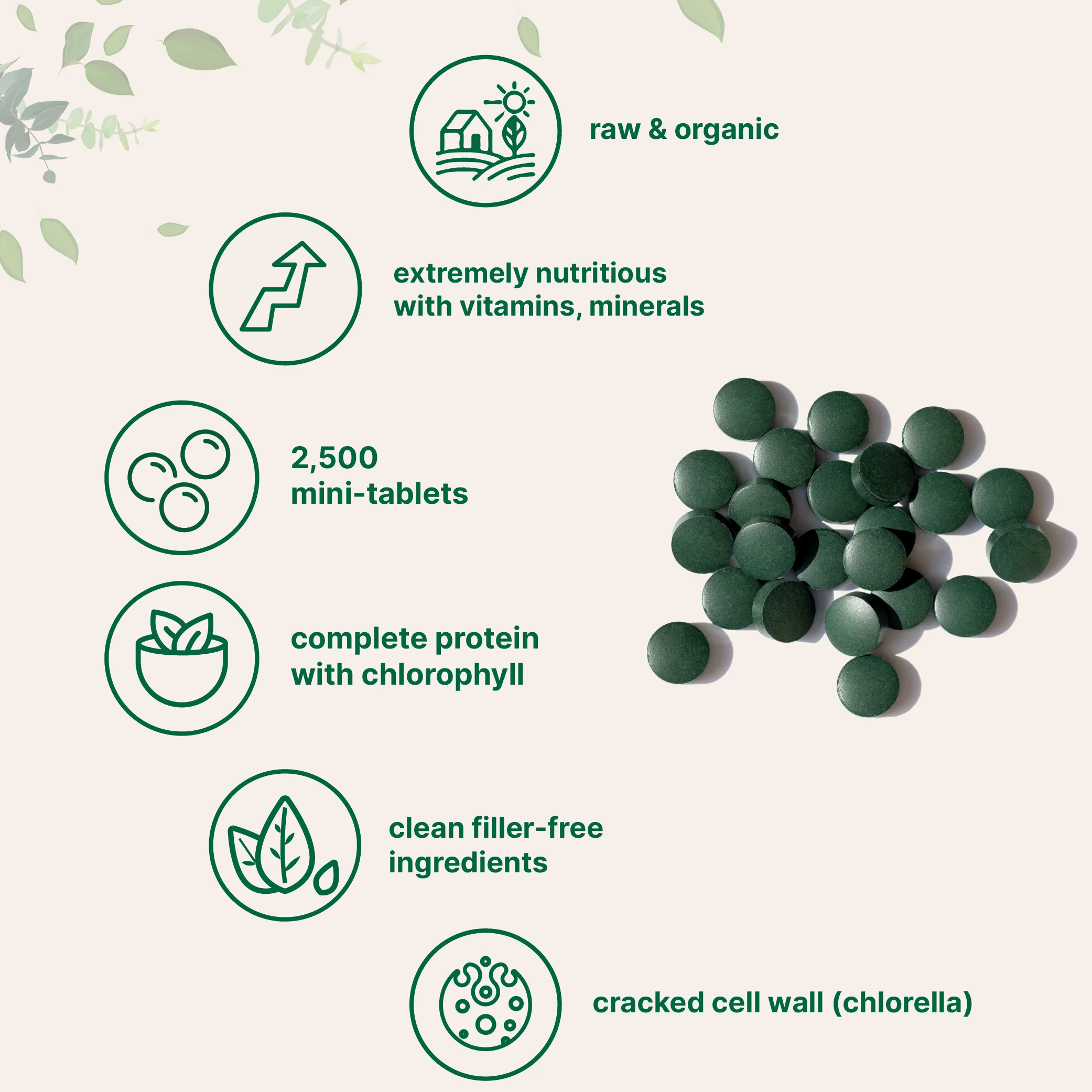 Micro Ingredients Organic Spirulina Chlorella 2,000mg Per Serving, 2,500 Mini Tablets - Image 3