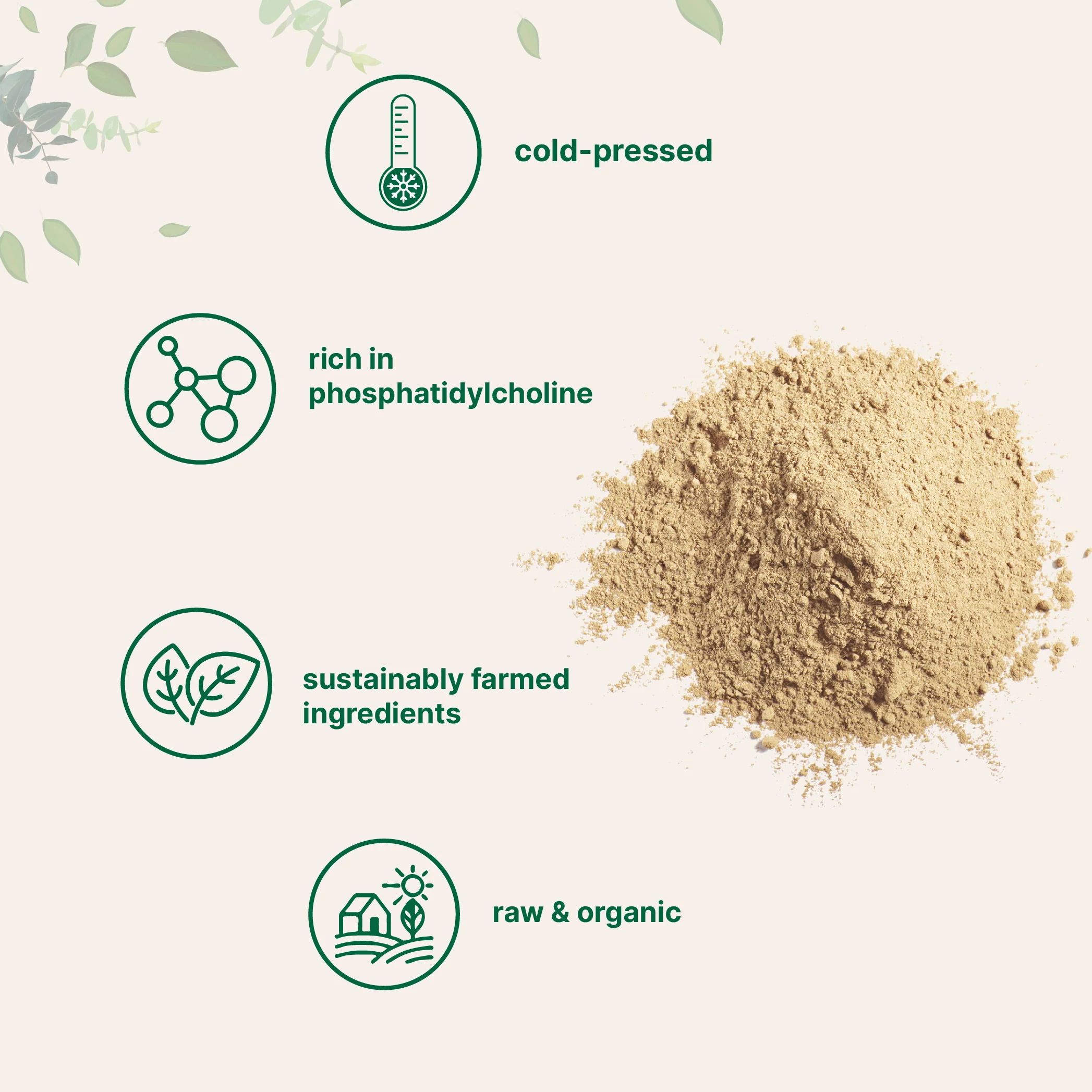 Micro Ingredients Organic Sunflower Lecithin Powder / Softgels - Image 4
