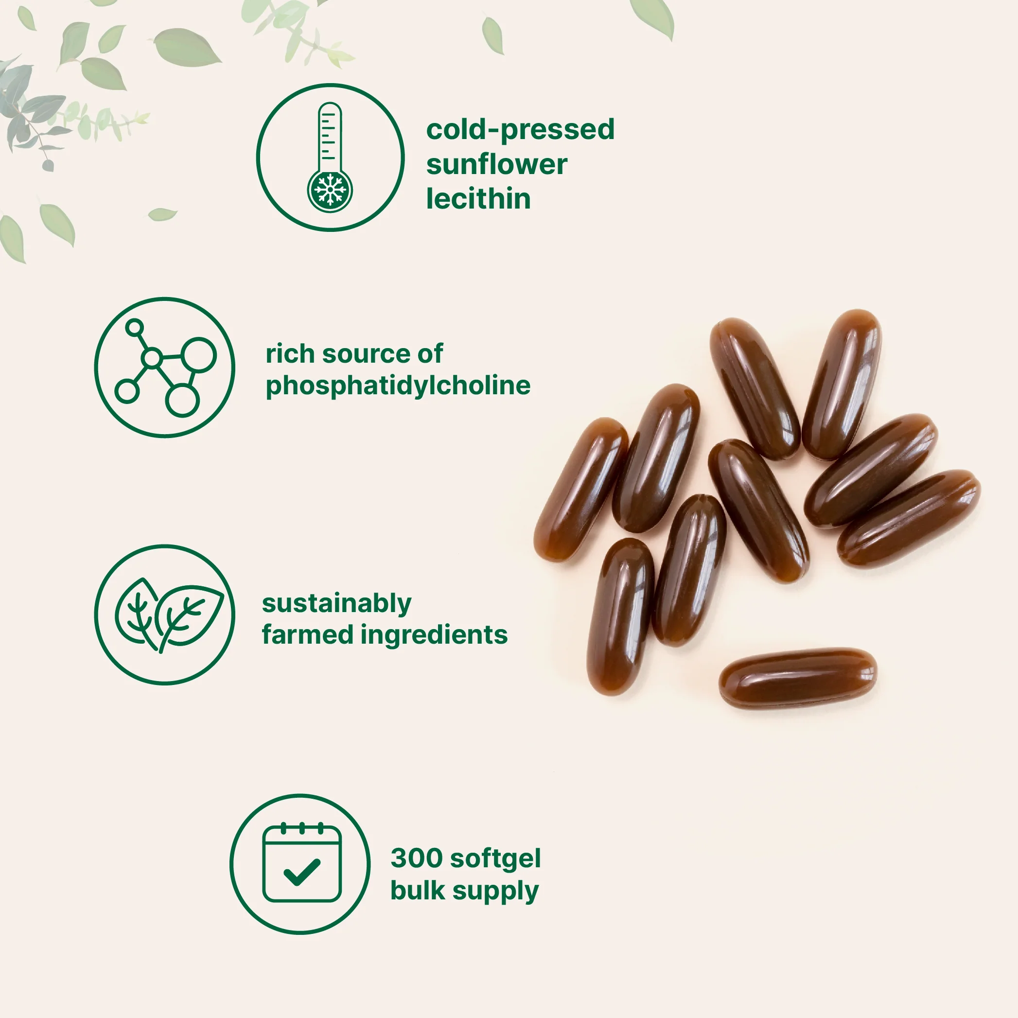 Micro Ingredients Organic Sunflower Lecithin Powder / Softgels - Image 9