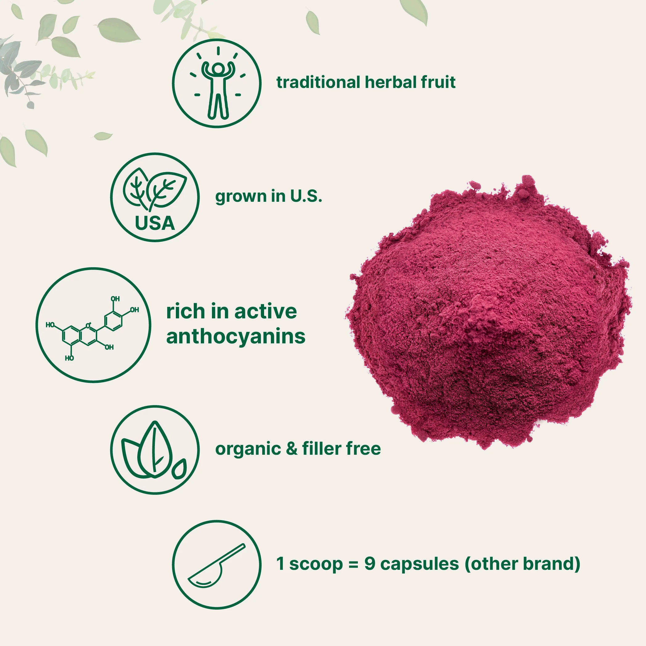 Micro Ingredients Organic Tart Cherry Powder - 4 oz - Image 3