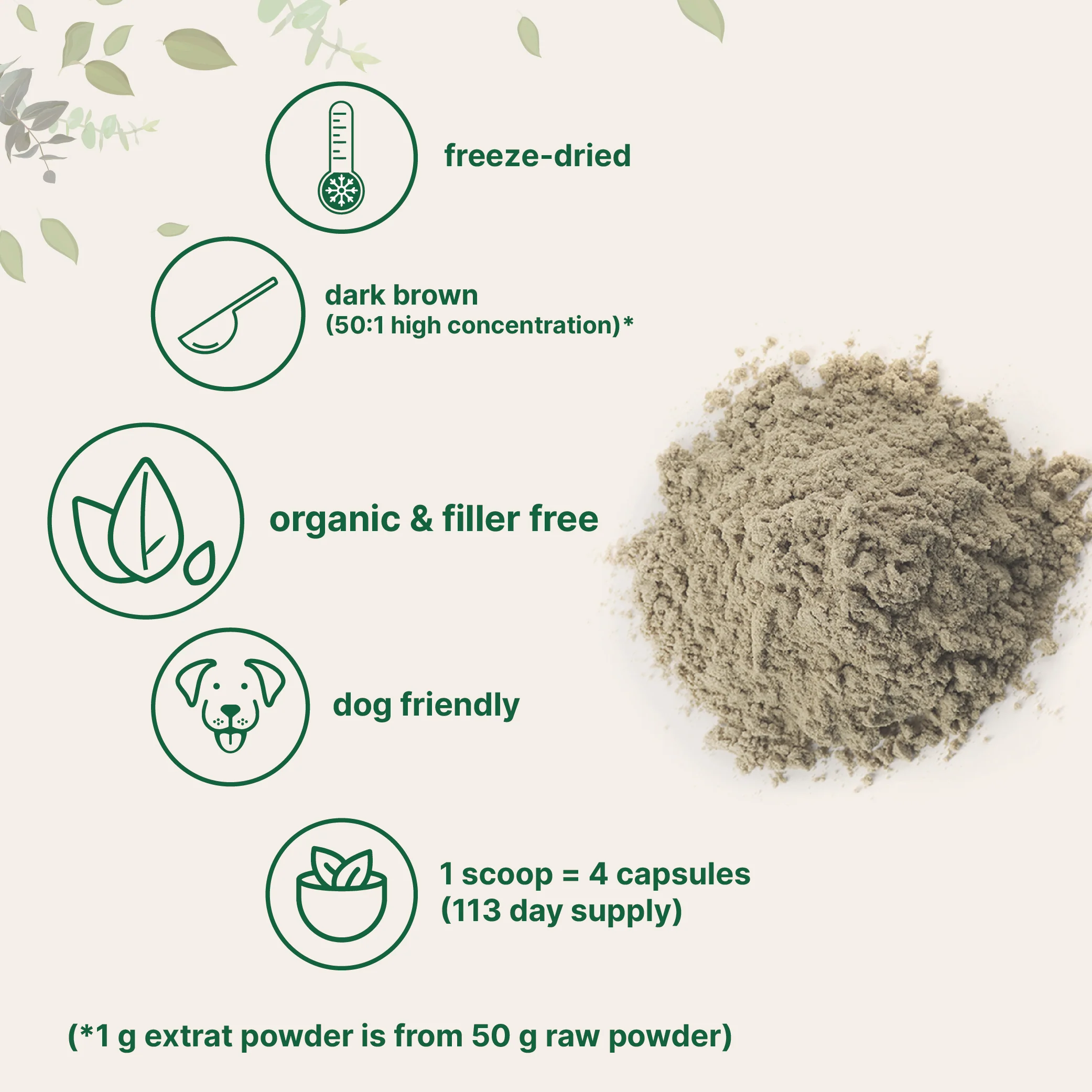Micro Ingredients Organic Turkey Tail Powder, 8oz - Image 4