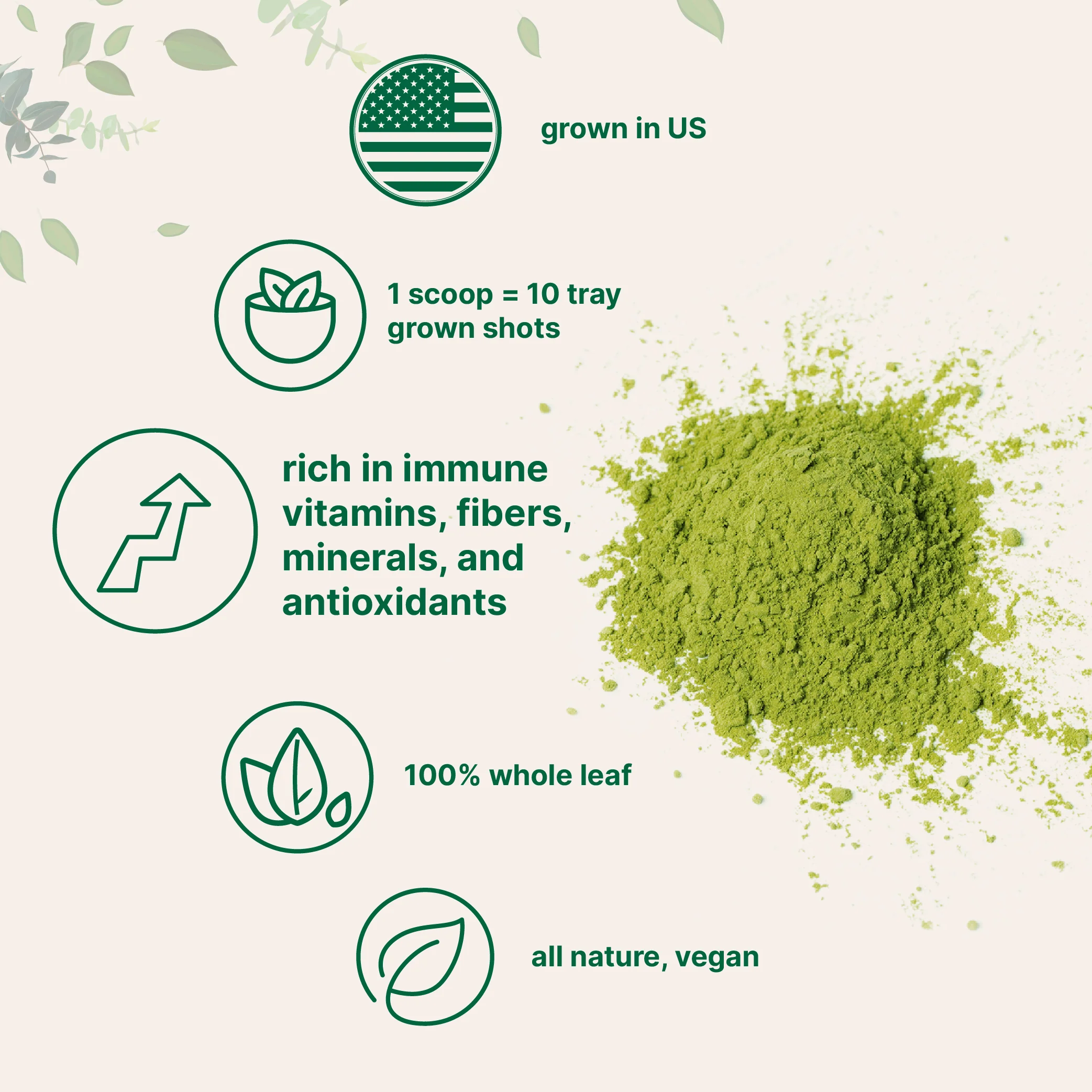Micro Ingredients Organic Wheat Grass Powder - Image 3