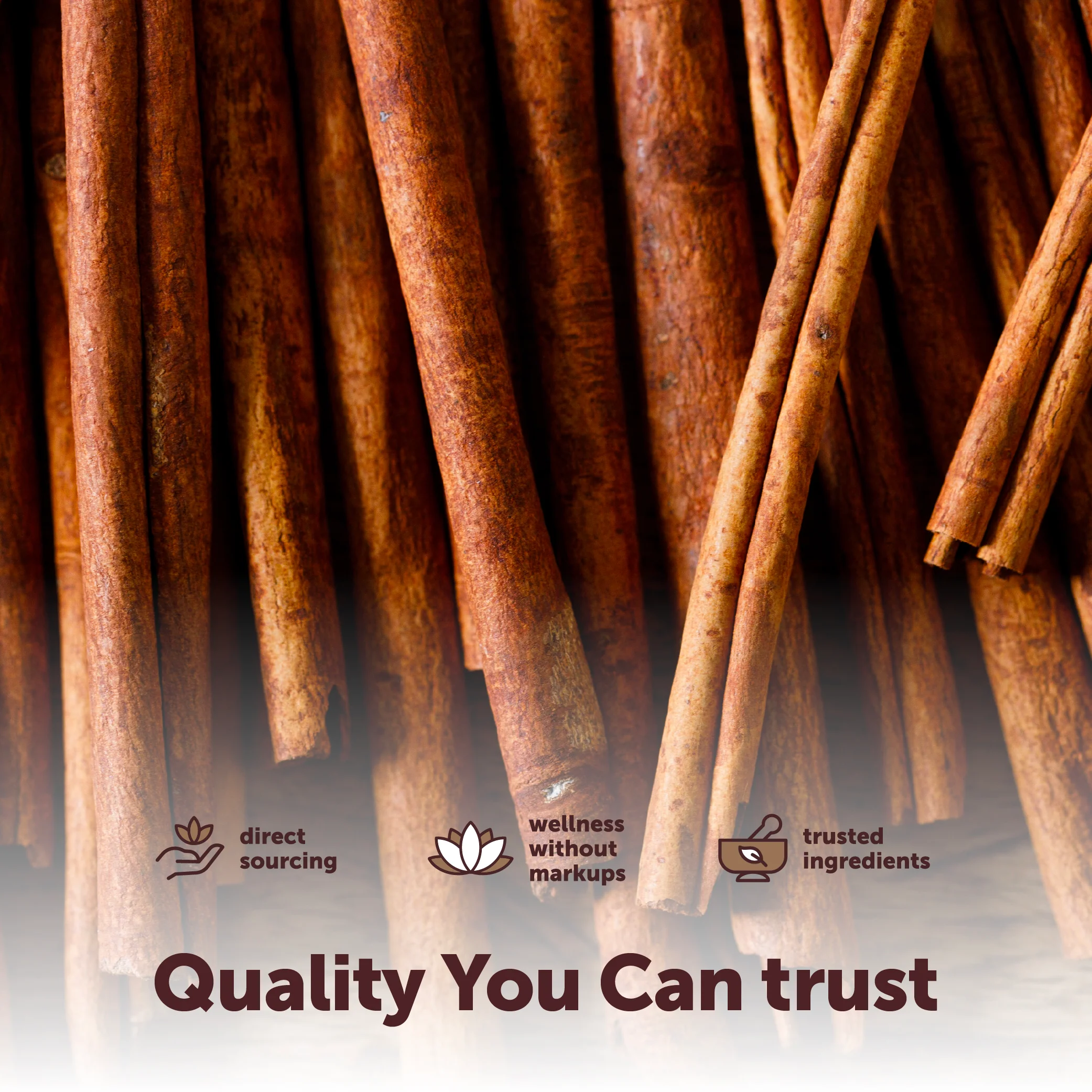Micro Ingredients Organic Whole Cinnamon Sticks, 2LB - Image 7