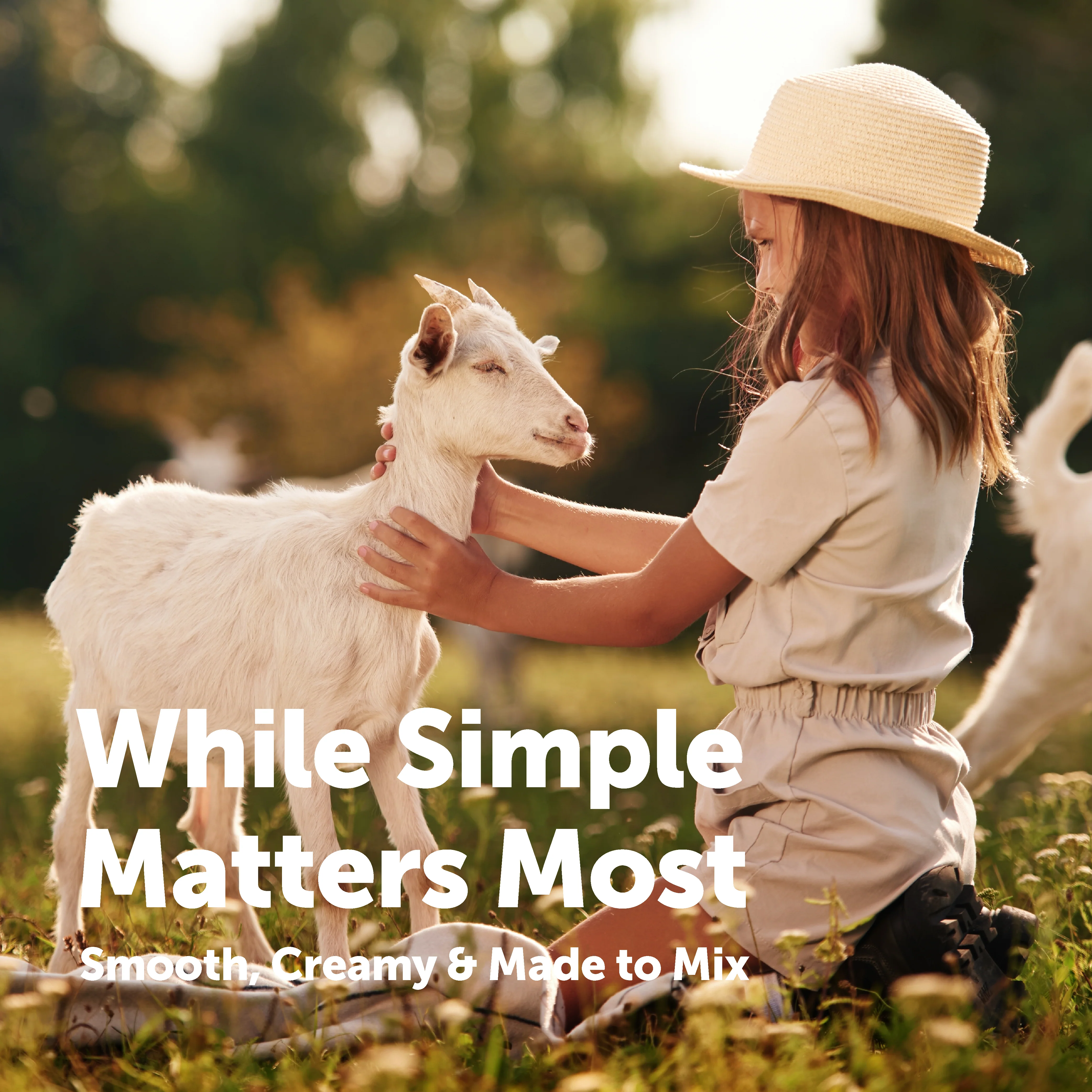 Micro Ingredients Goat Milk Powder, Rich in Protein, Calcium, & Probiotics - Image 8