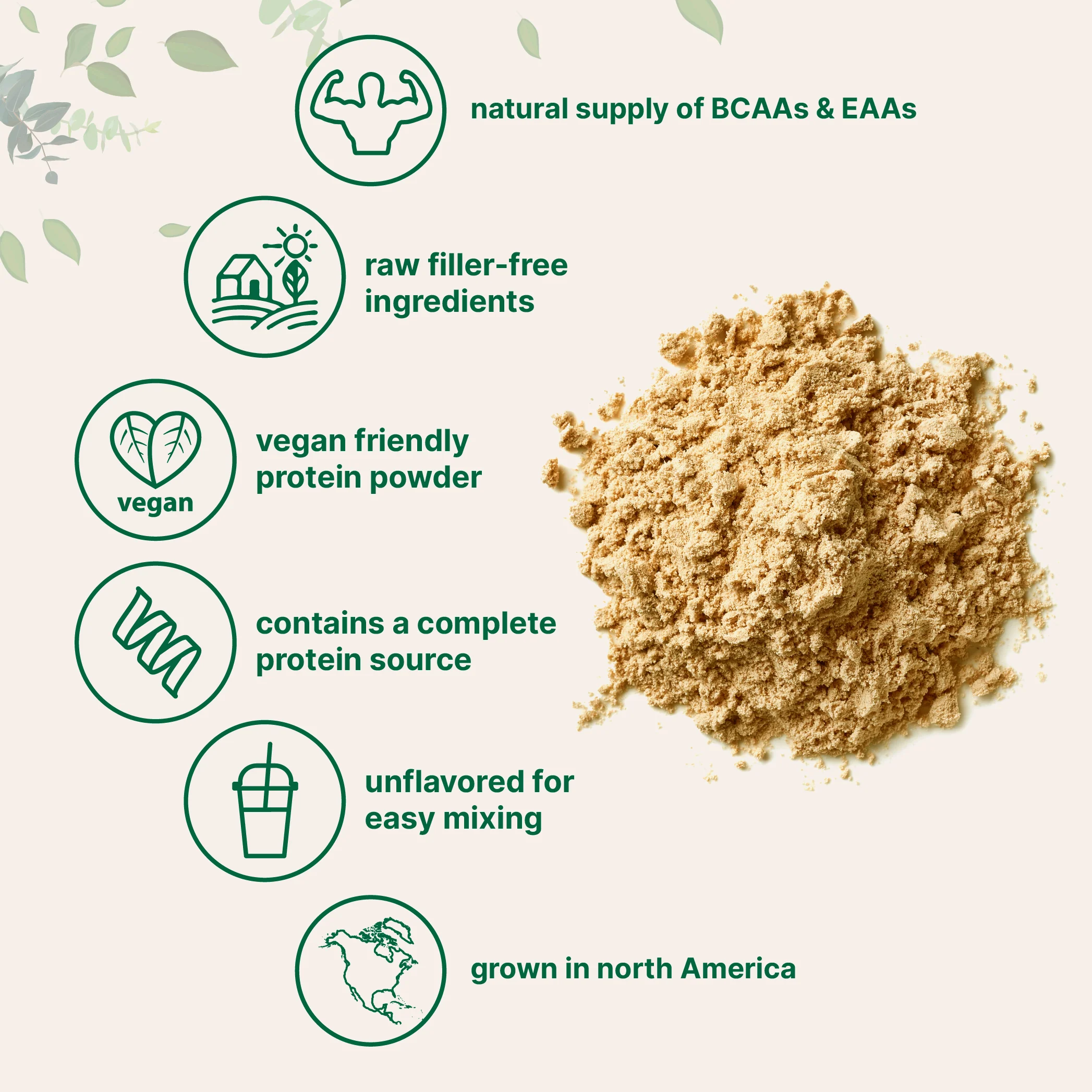 Micro Ingredients Pea Protein Powder, 5lb - Image 4