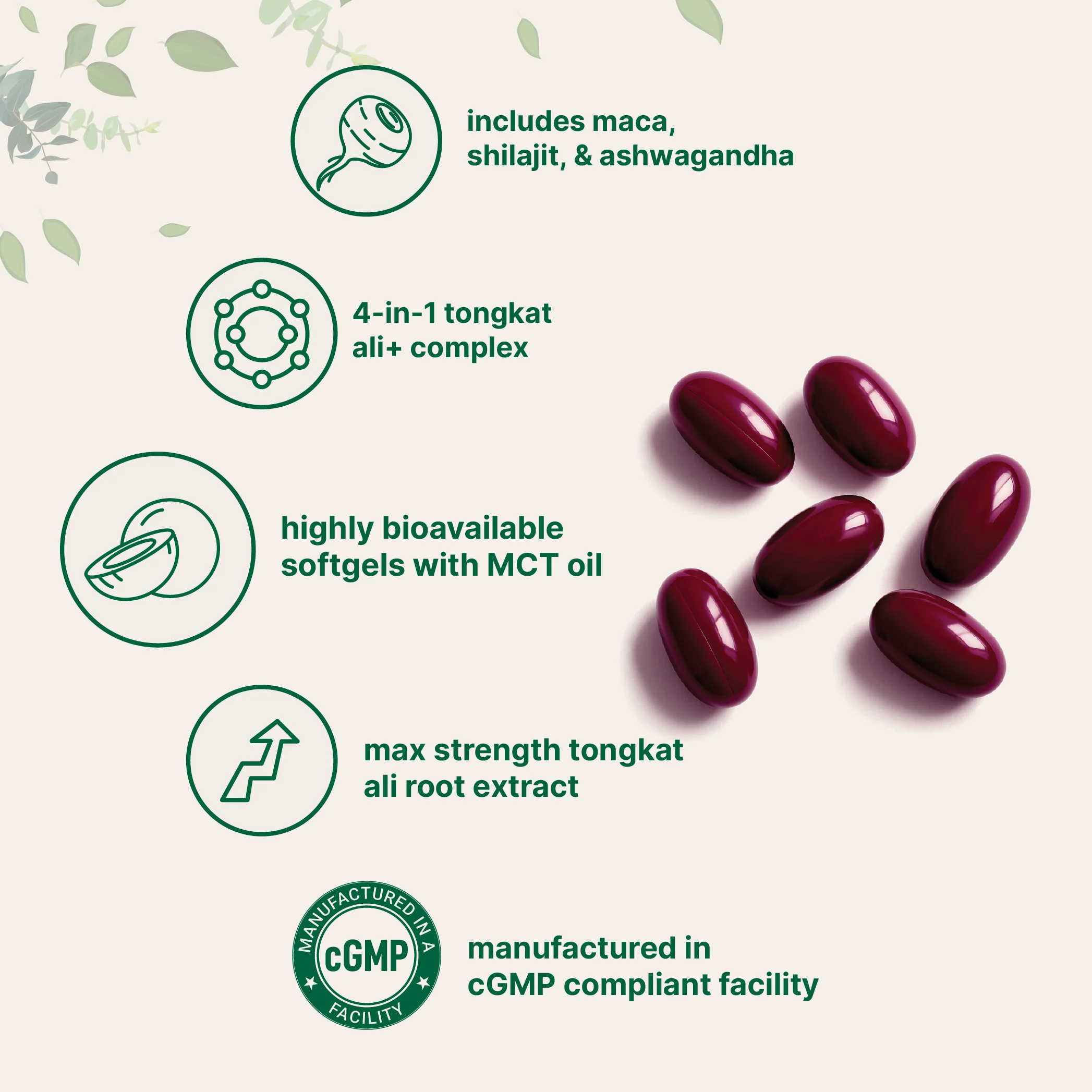 Micro Ingredients Tongkat Ali+ for Men with MCT Oil, 240 Softgels - Image 3
