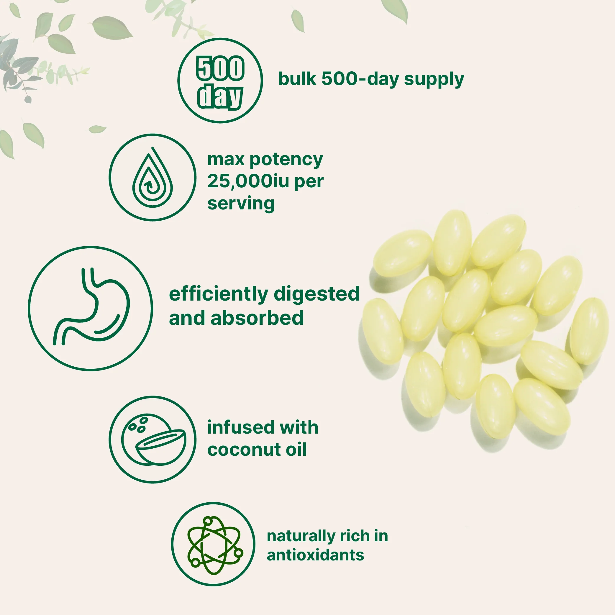 Micro Ingredients Vitamin A Softgels – 25,000 IU with Virgin Coconut Oil - Image 3